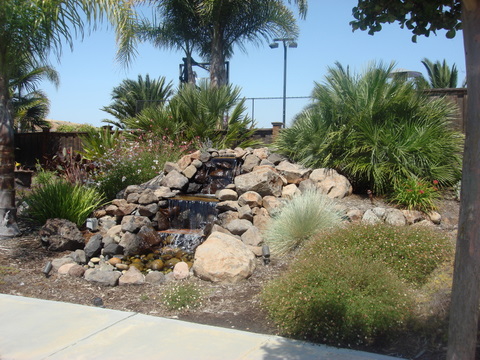 pic1